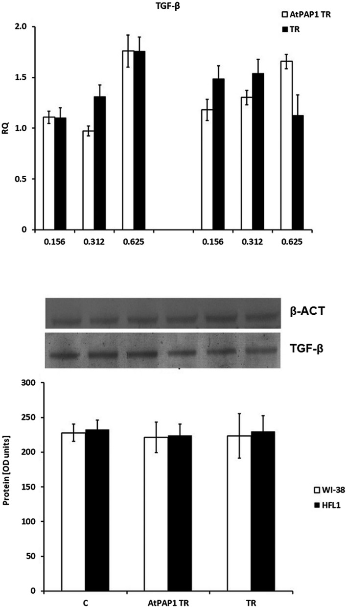 Fig. 5