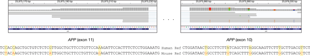 Fig. 3 |