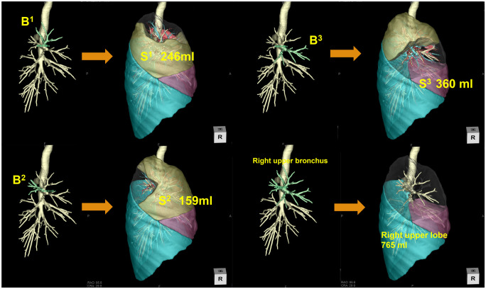 Figure 1: