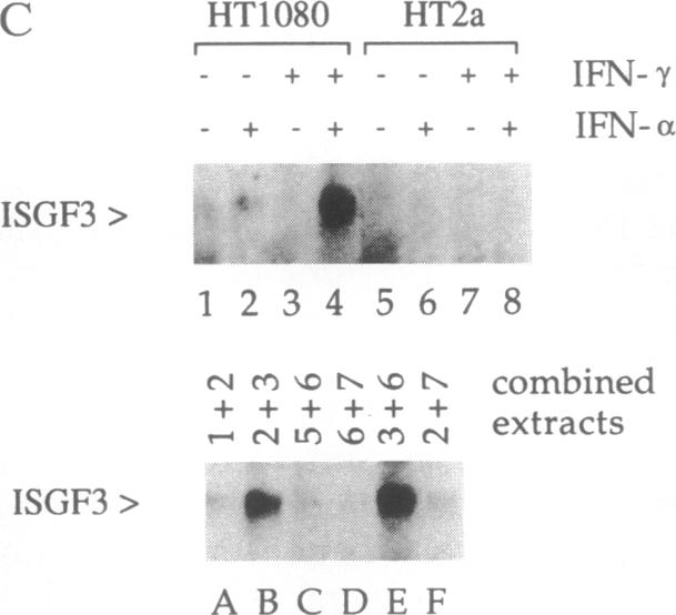 graphic file with name pnas01068-0022-c.jpg