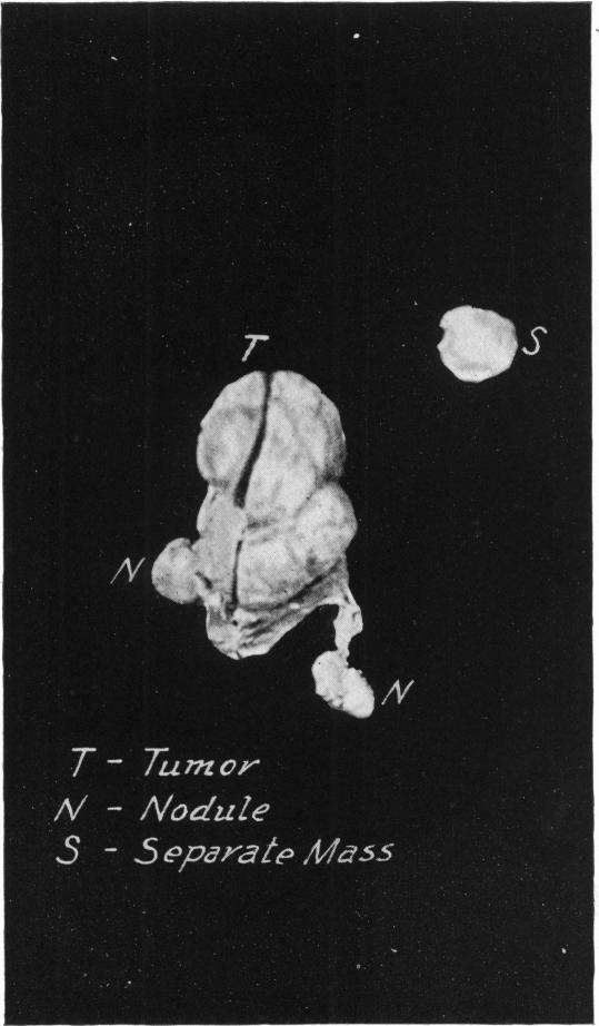 p134-1-a