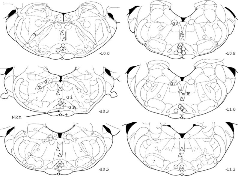 Fig. 7