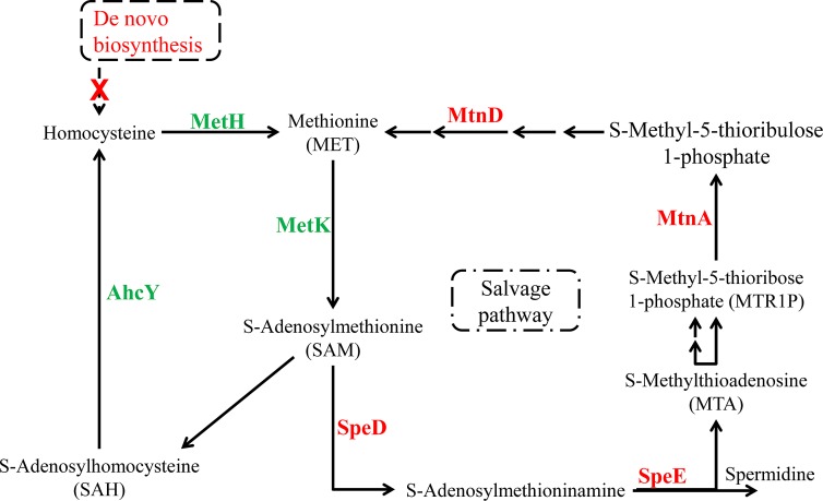 FIG 3 