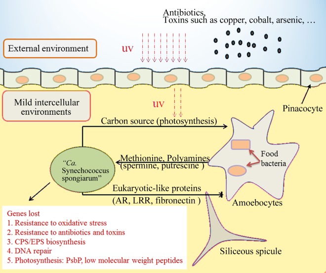 FIG 6 