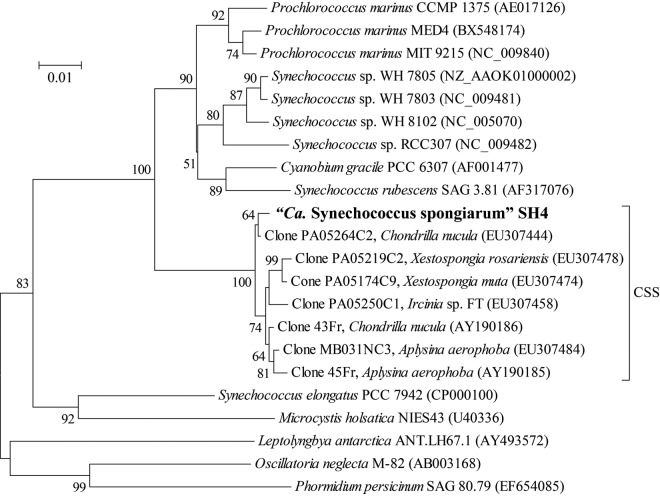 FIG 1 