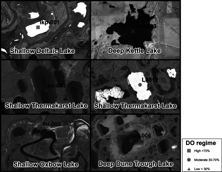 Fig. 2