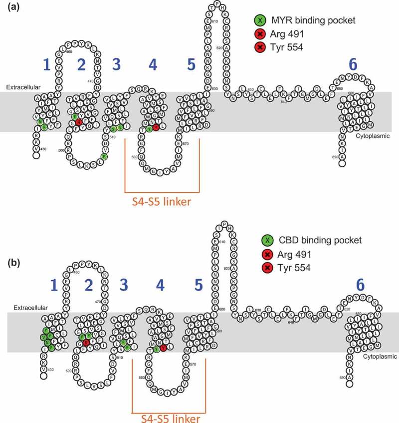 Figure 10.