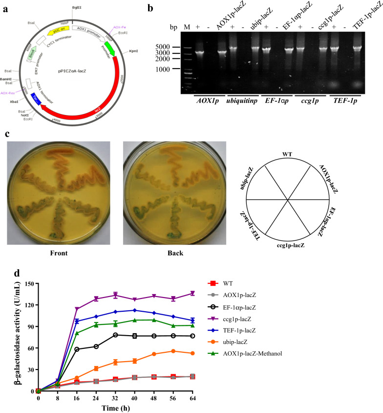 Fig. 1