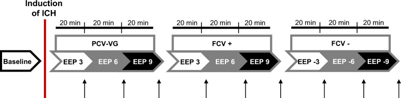 Fig. 1