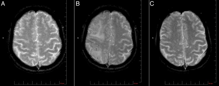 Figure 4