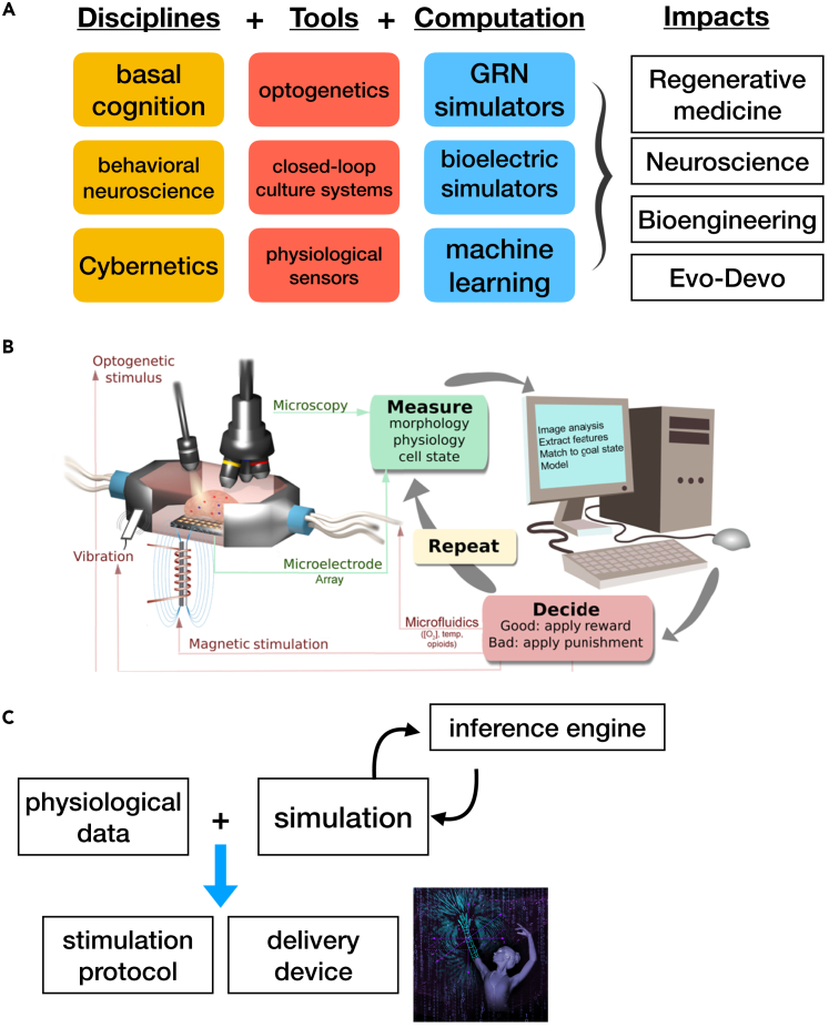 Figure 4