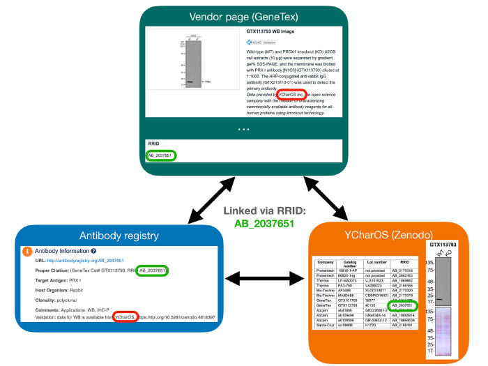 Figure 5: