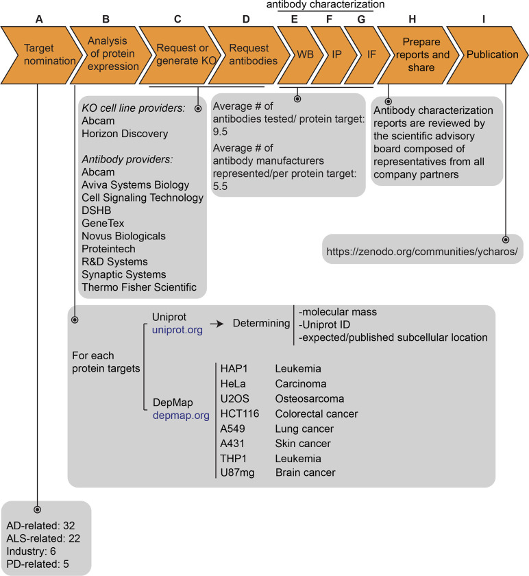 Figure 1: