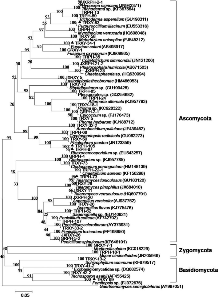 Figure 2