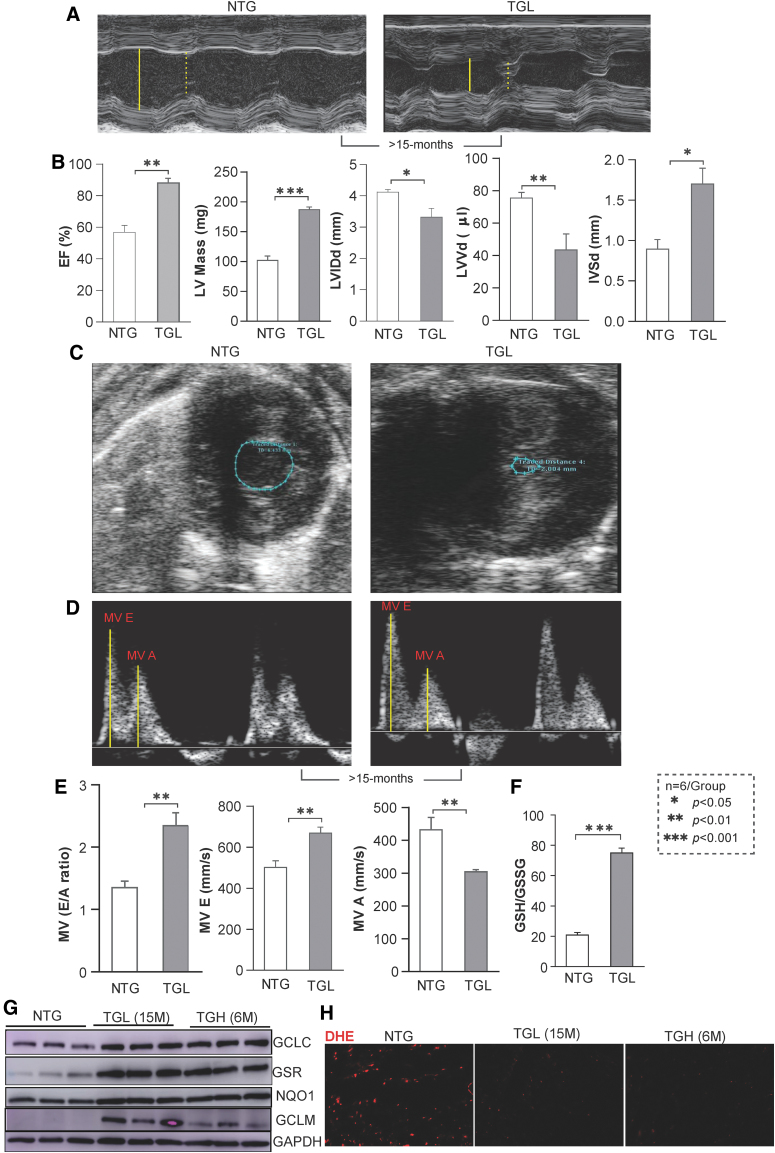 FIG. 6.