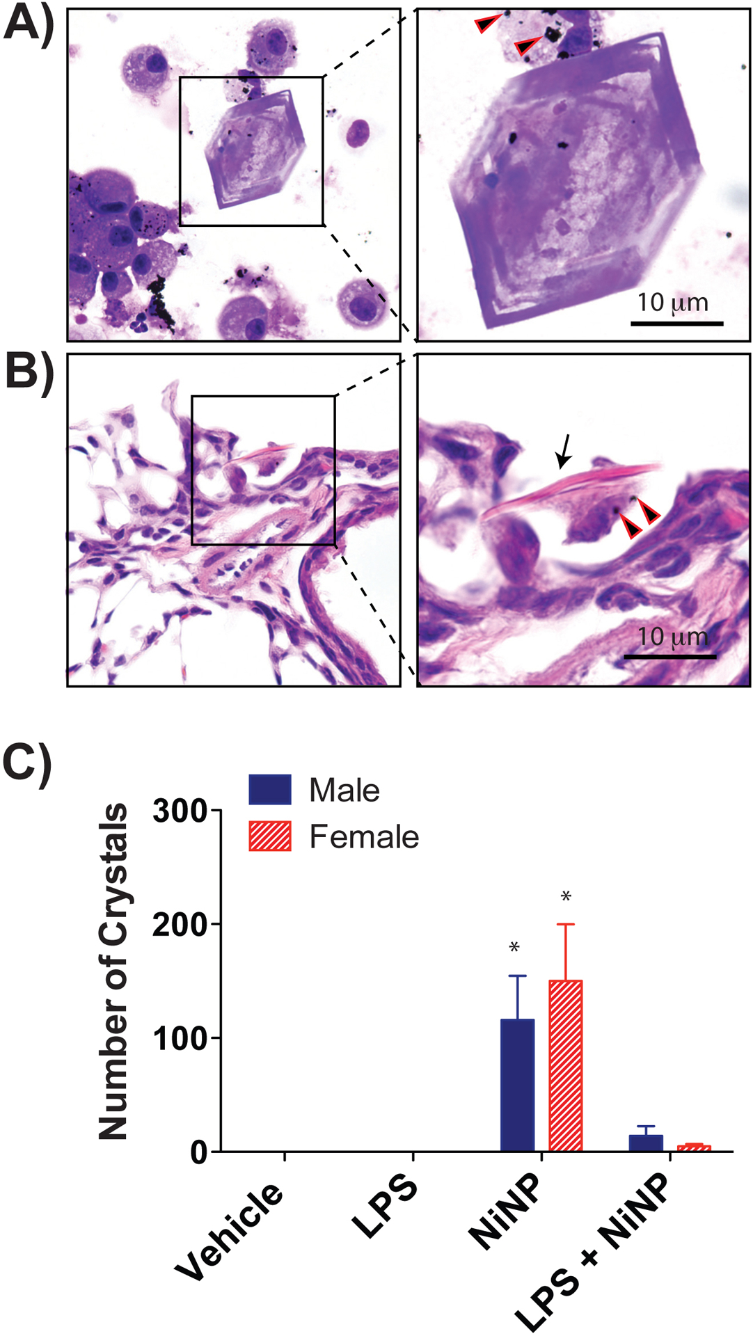 Figure 7.