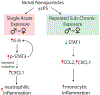 Figure 11.