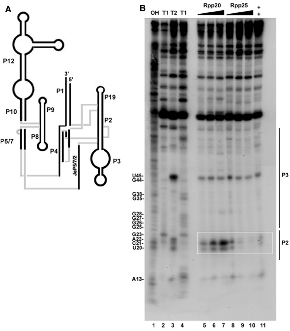 Figure 6.