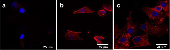 Fig. 15