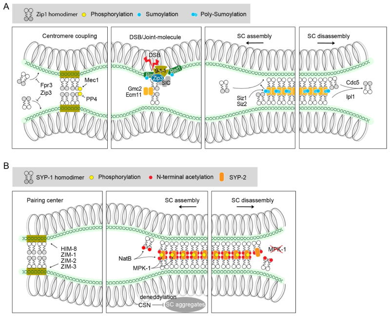 Figure 3, Key Figure