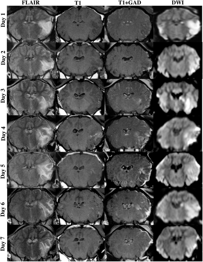 FIGURE 4