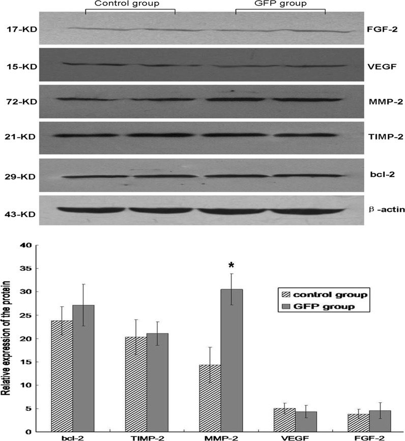 Fig. 6