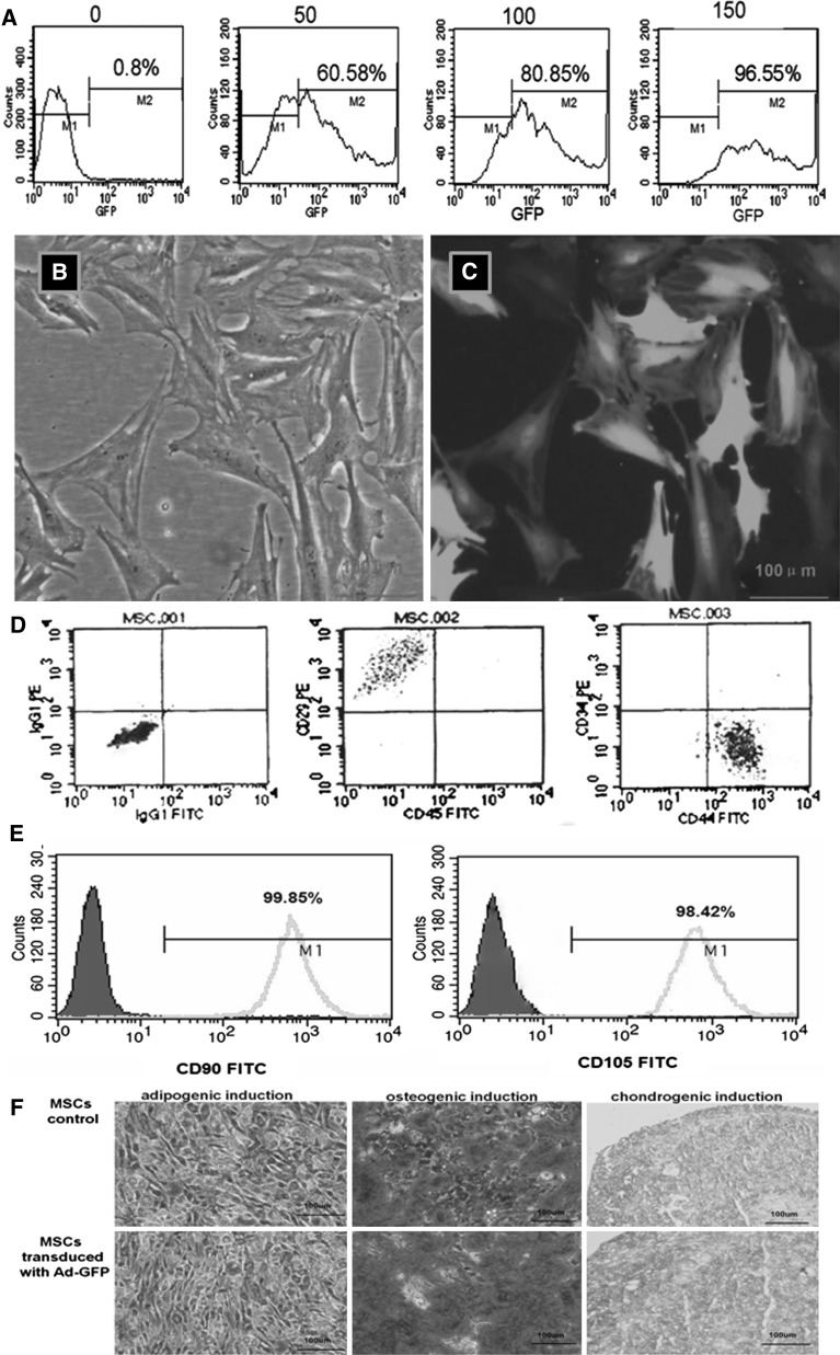 Fig. 2