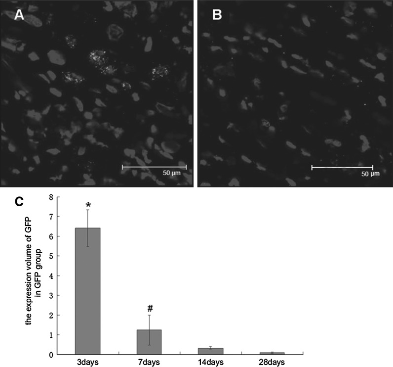 Fig. 4