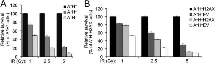 FIGURE 4.