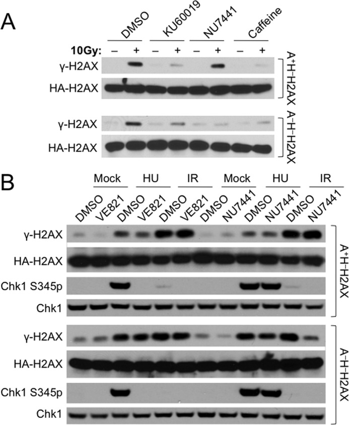 FIGURE 3.