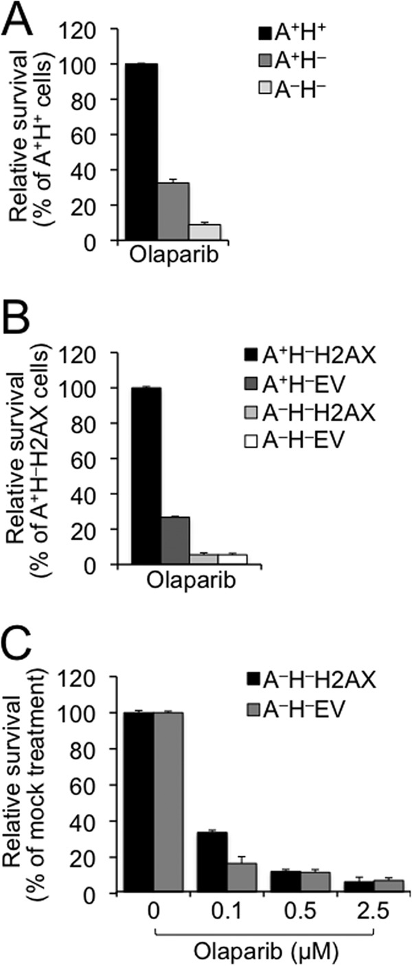 FIGURE 5.