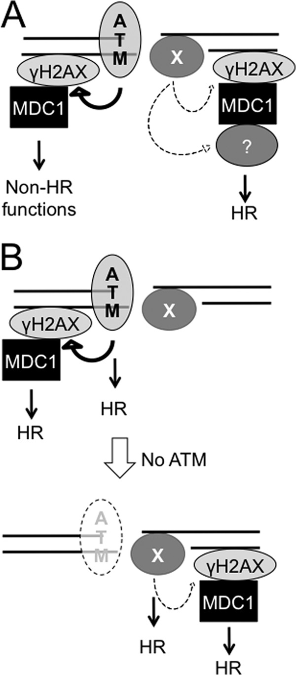 FIGURE 7.