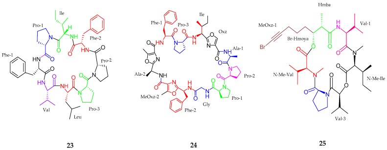 Figure 5