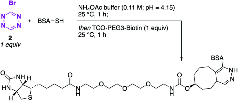 Scheme 6