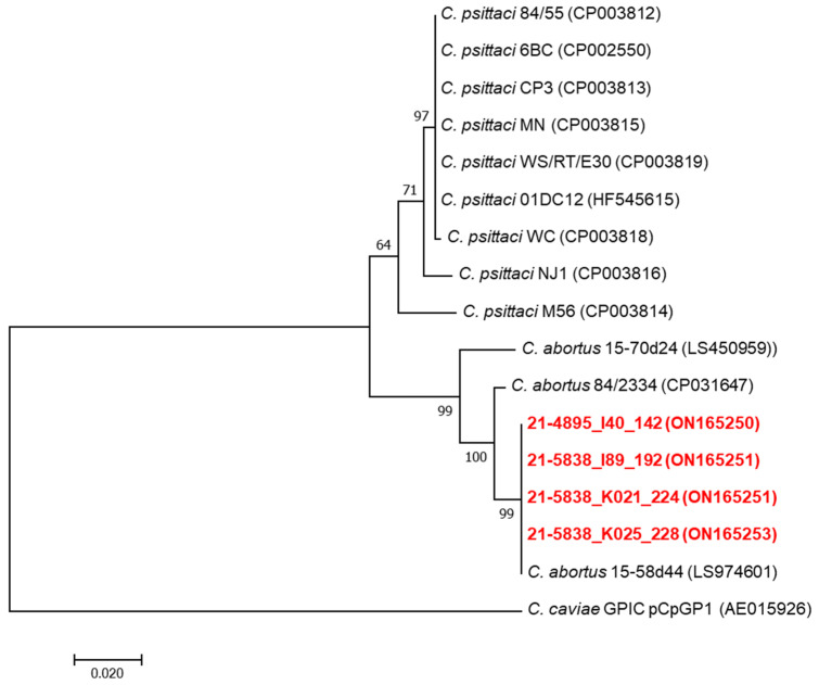 Figure 2