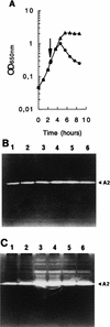 FIG. 3