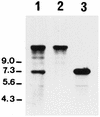 FIG. 6