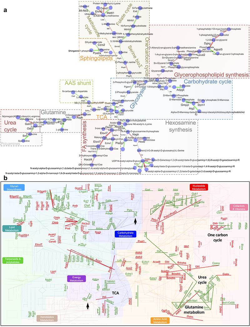 Extended Data Fig. 4