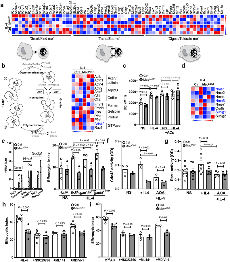 Extended Data Fig. 6