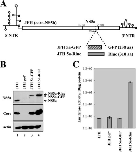 FIG. 1.