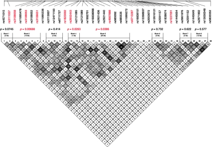 Fig. 2