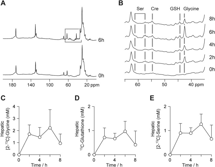 Fig 5