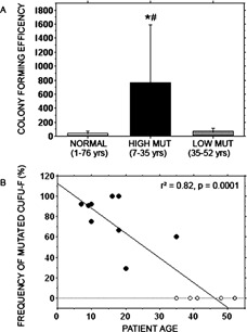 Figure FIG. 3.