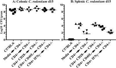 FIG. 8.