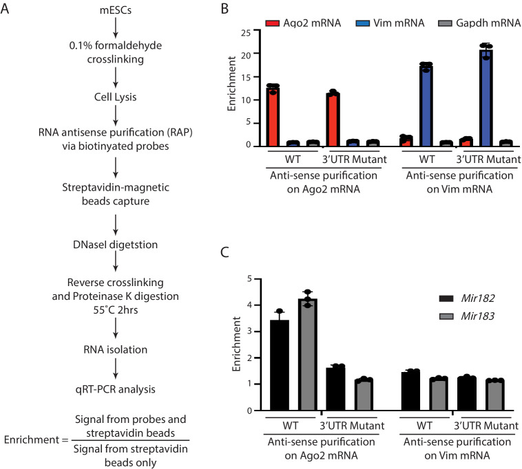 Figure 1—figure supplement 2.