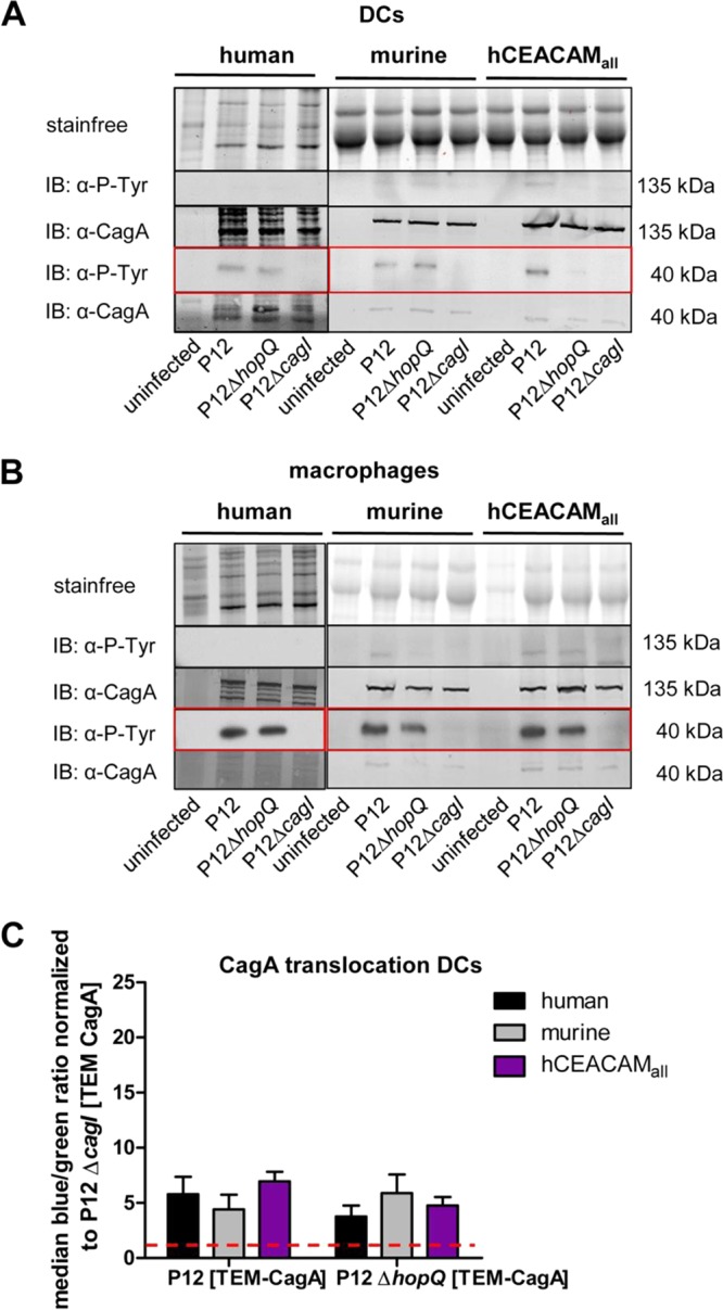 FIG 4