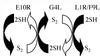 FIG. 7.