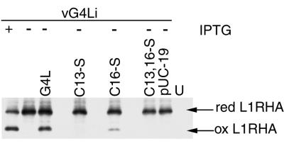 FIG. 5.