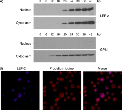 FIG. 6.