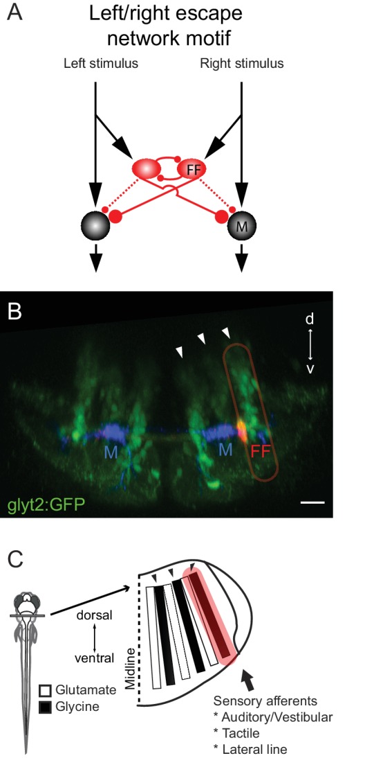 Figure 11.